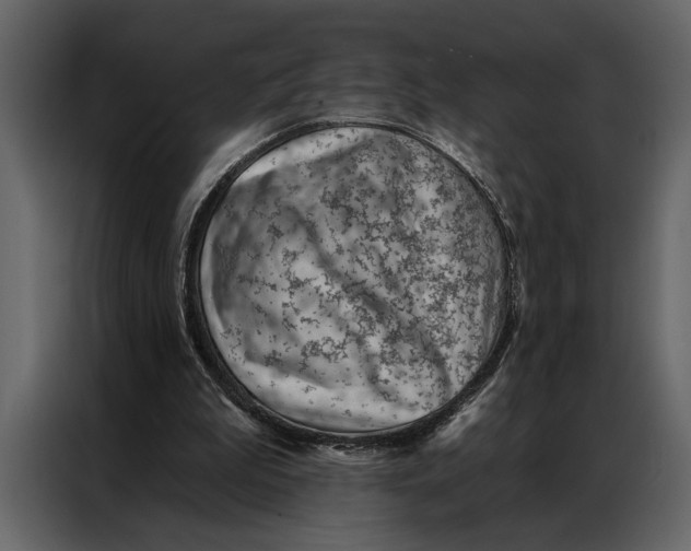 X0000087000199200705071513