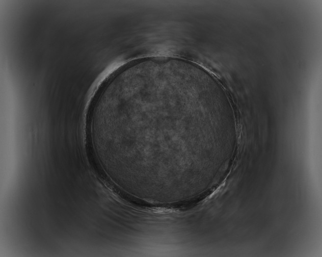 X0000087000200200705071513