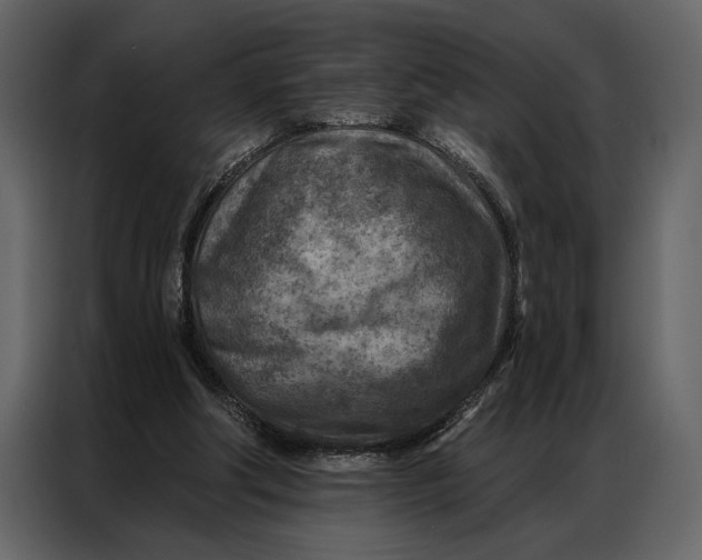 X0000087000202200705071512