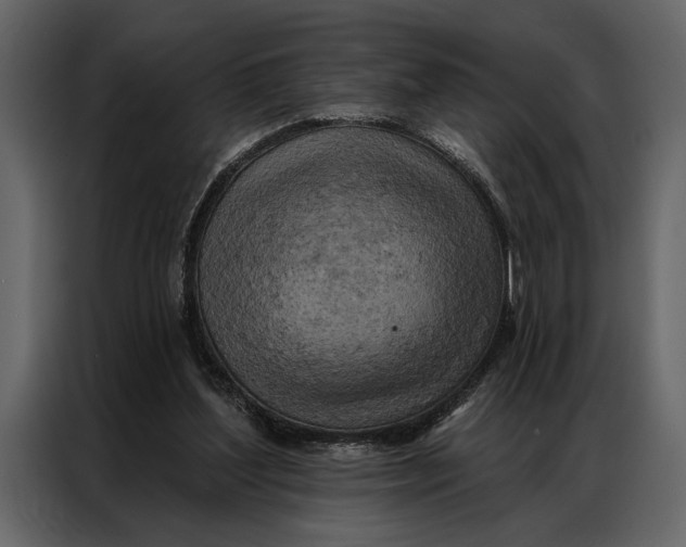 X0000087000204200705071512