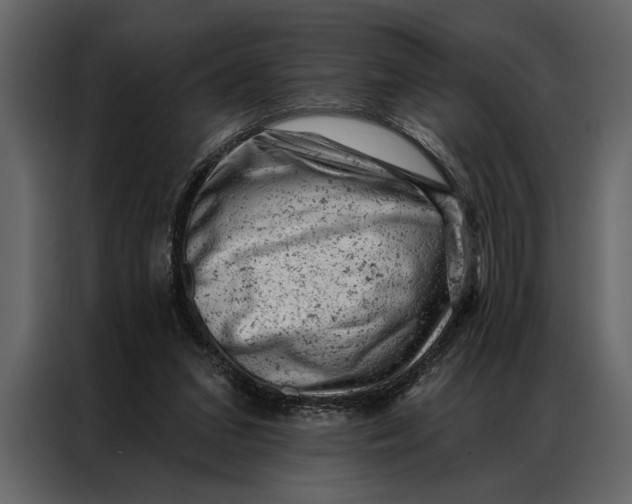 X0000087000207200705071512