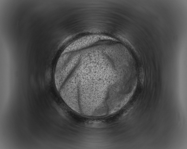 X0000087000208200705071512