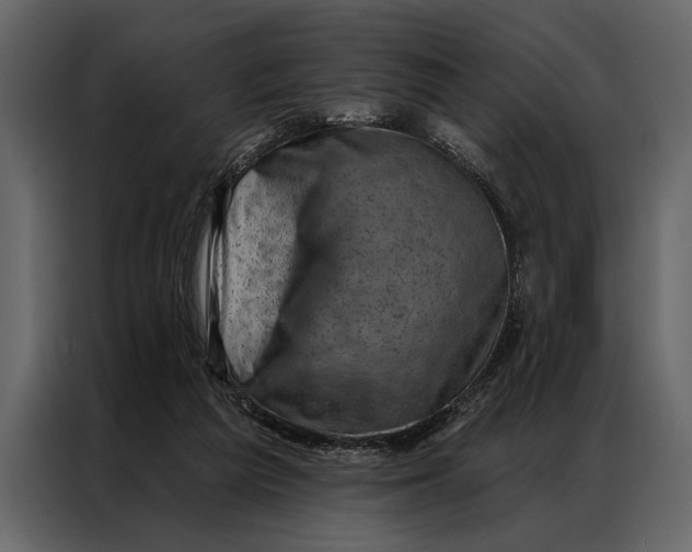 X0000087000209200705071512