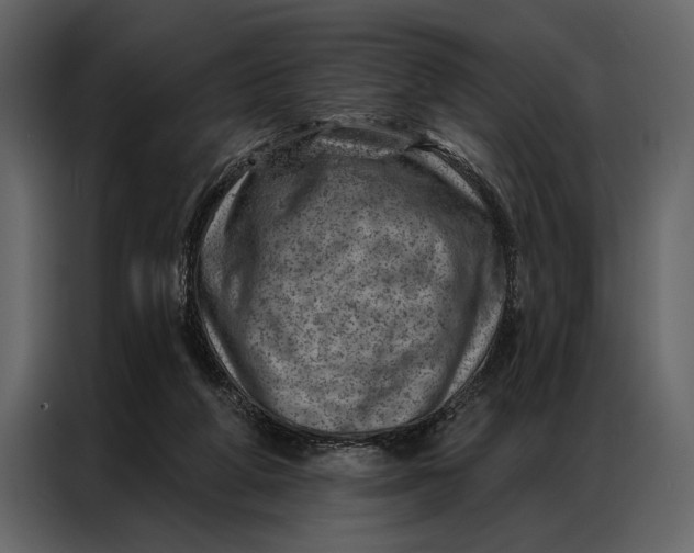 X0000087000210200705071512