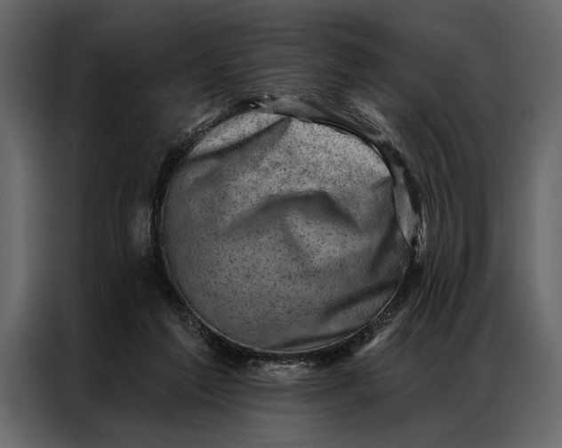 X0000087000213200705071512