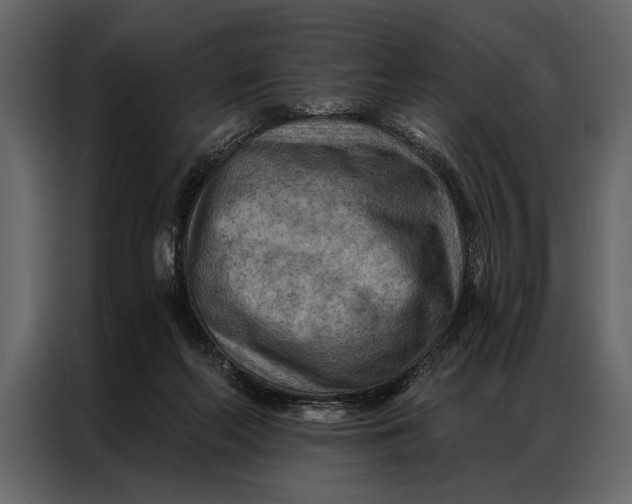 X0000087000214200705071512