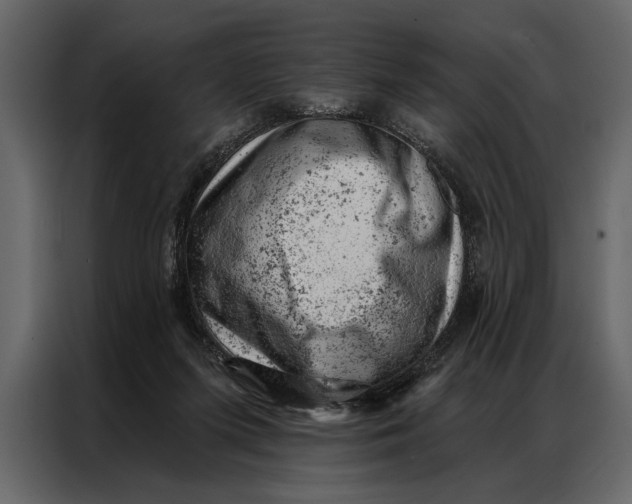 X0000087000215200705071512