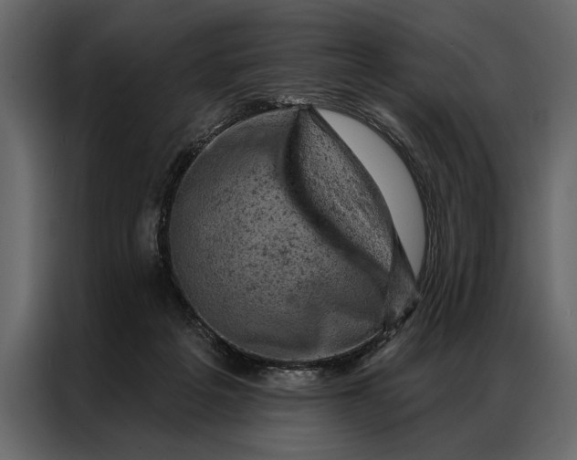 X0000087000217200705071512