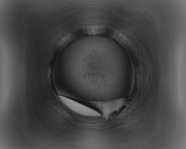 X0000087000219200705071512