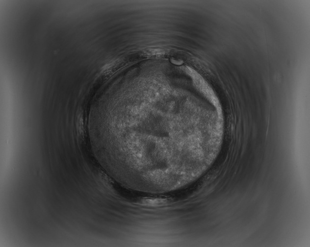 X0000087000220200705071512