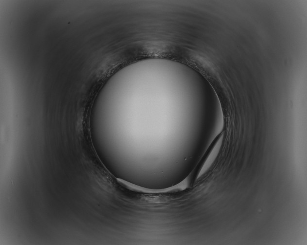 X0000087000221200705071512