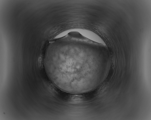 X0000087000222200705071512