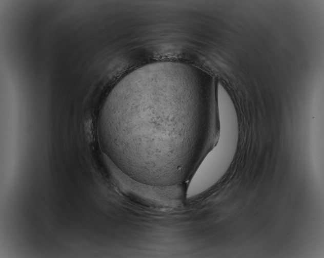 X0000087000224200705071512