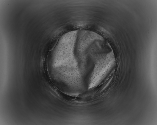 X0000087000225200705071512