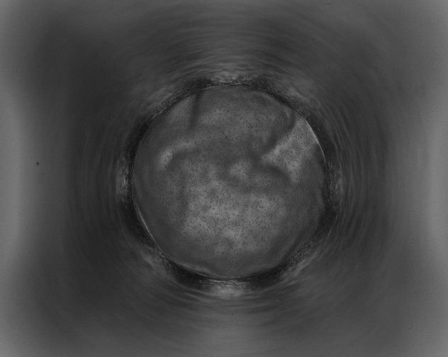 X0000087000226200705071512