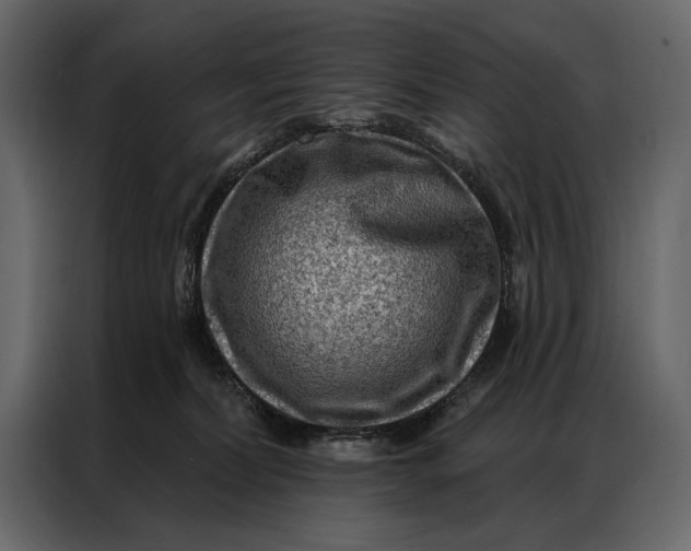 X0000087000228200705071512