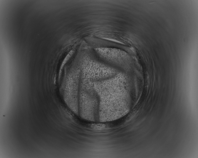 X0000087000230200705071512