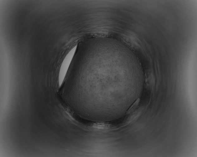 X0000087000231200705071512