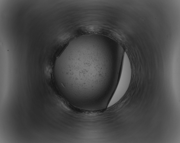 X0000087000235200705071512