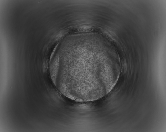 X0000087000236200705071512