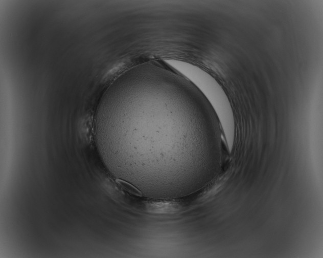 X0000087000237200705071512