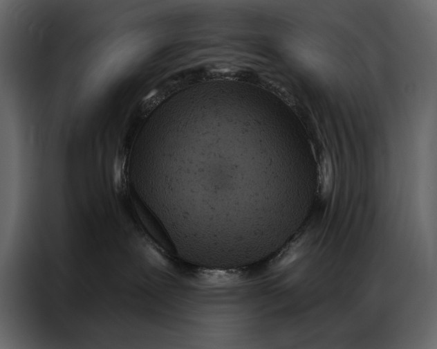 X0000087000239200705071512