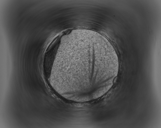 X0000087000241200705071511