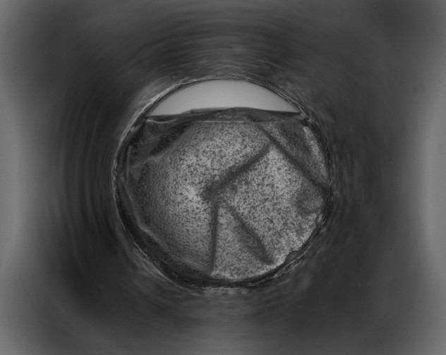 X0000087000242200705071511