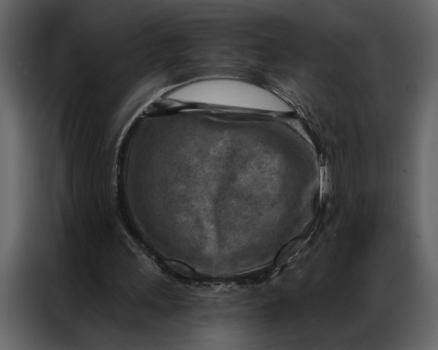 X0000087000243200705071511