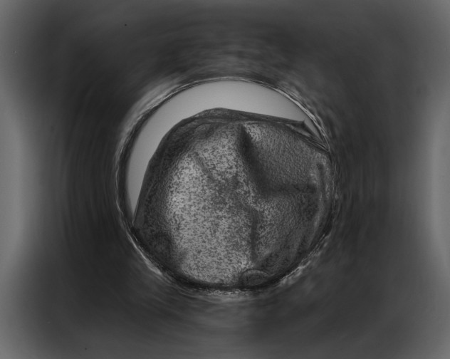 X0000087000245200705071511