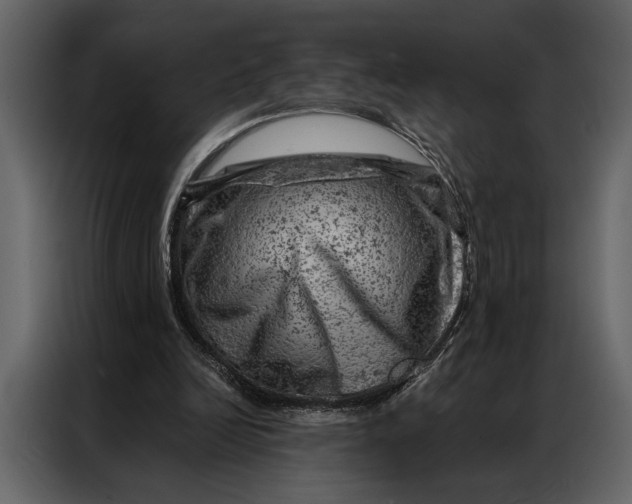 X0000087000246200705071511