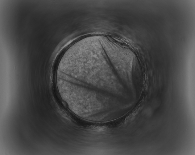 X0000087000247200705071511