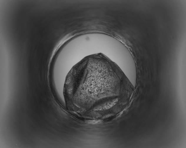 X0000087000248200705071511