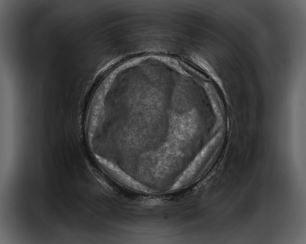 X0000087000249200705071511