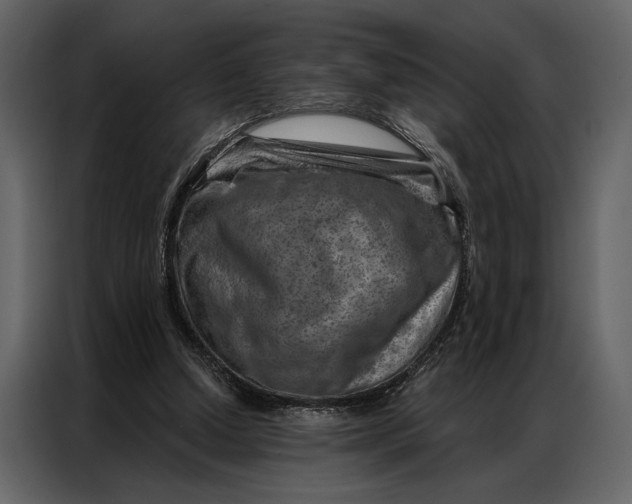 X0000087000250200705071511