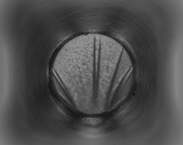 X0000087000251200705071511