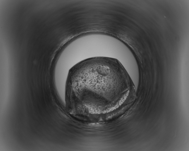 X0000087000252200705071512