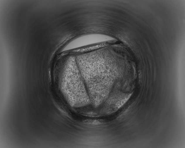 X0000087000254200705071512