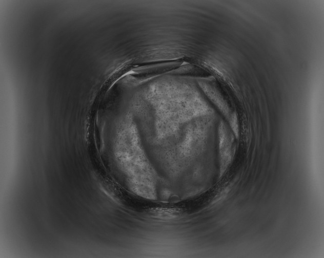 X0000087000255200705071512