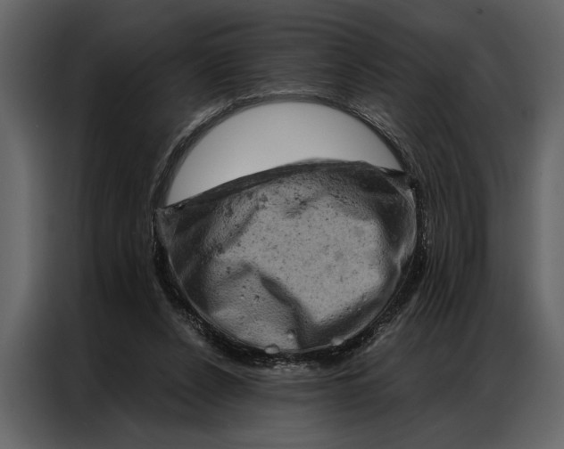 X0000087000256200705071512