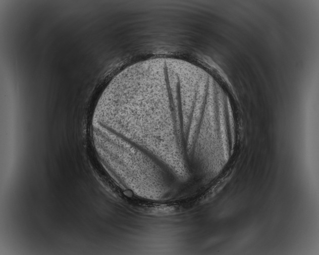 X0000087000257200705071512