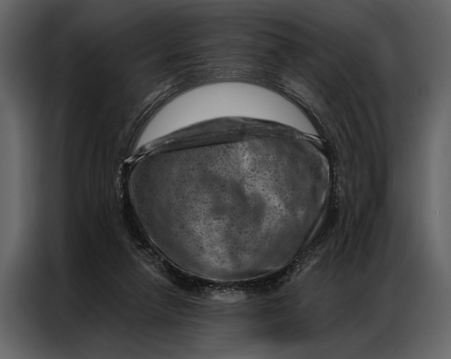 X0000087000258200705071512