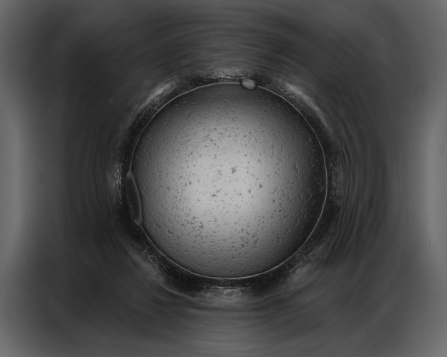 X0000087000260200705071512