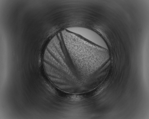 X0000087000261200705071512