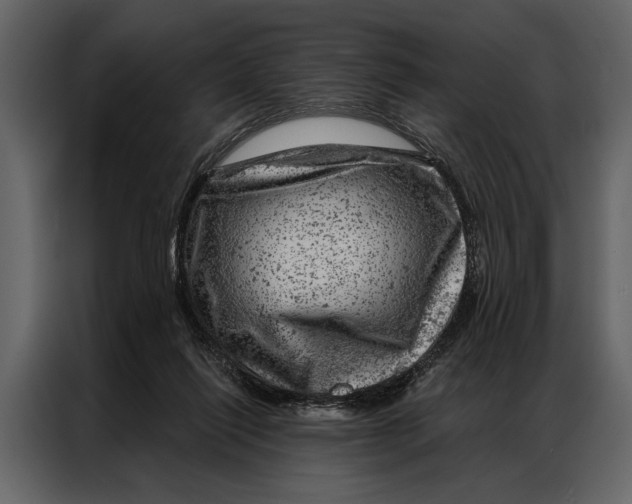 X0000087000262200705071512