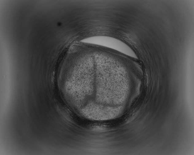 X0000087000263200705071512