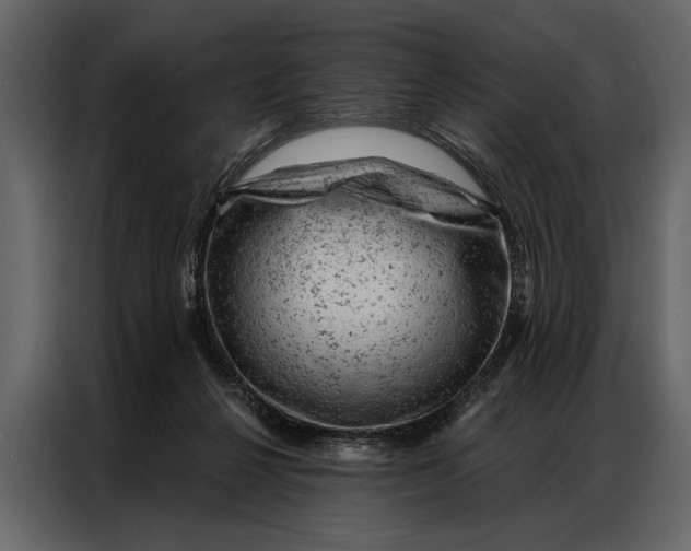 X0000087000264200705071512