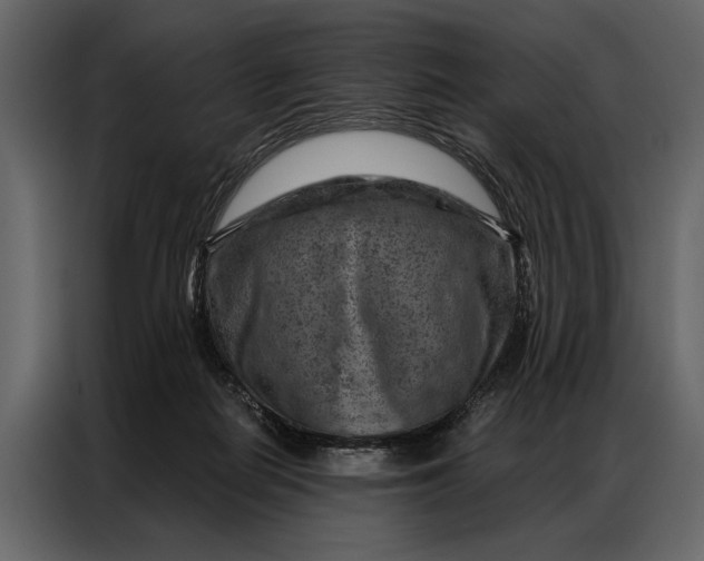 X0000087000266200705071512