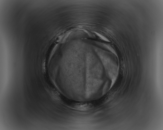 X0000087000267200705071512