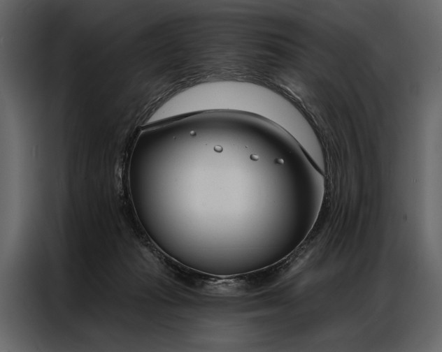 X0000087000269200705071512